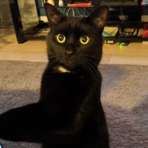 Meet your Posher, Krista